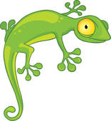 gecko clipart chipkali