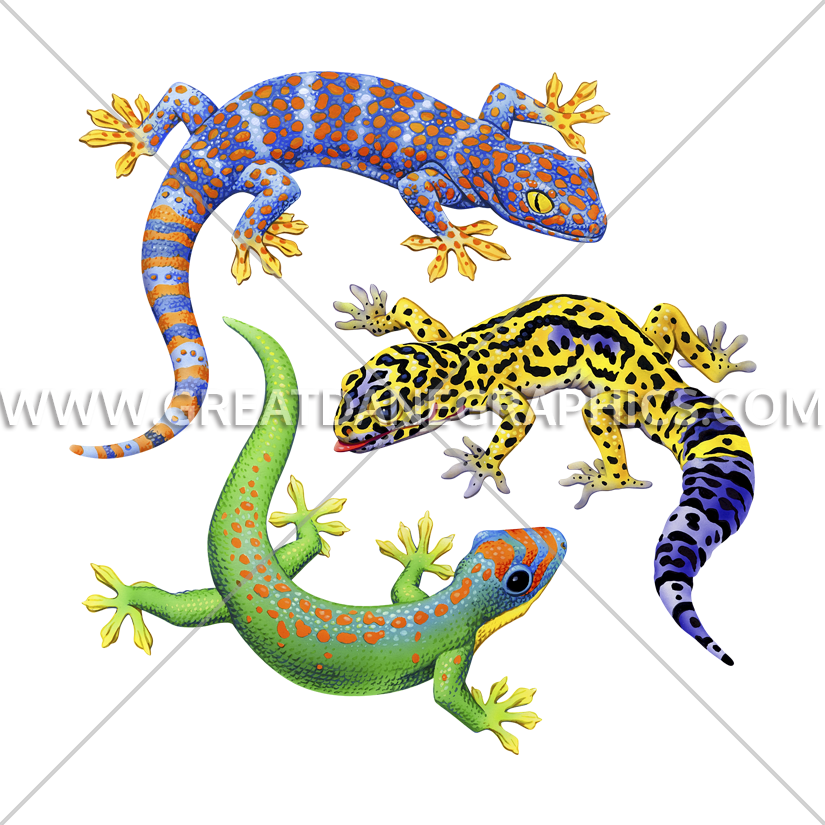 Three geckos production ready. Lizard clipart gecko