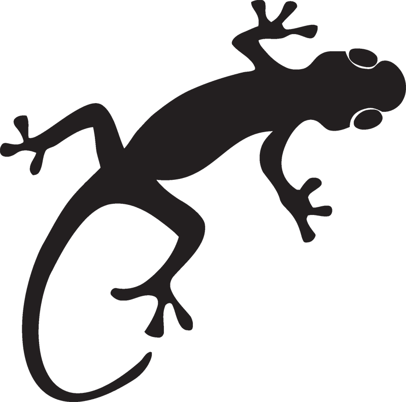 gecko clipart transparent background