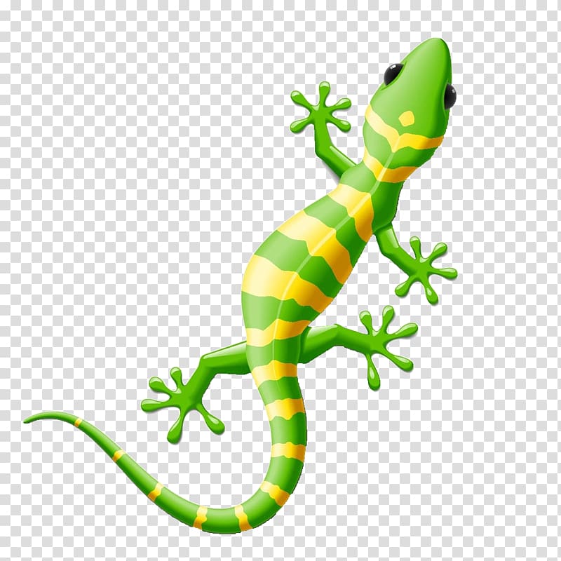 lizard clipart transparent background