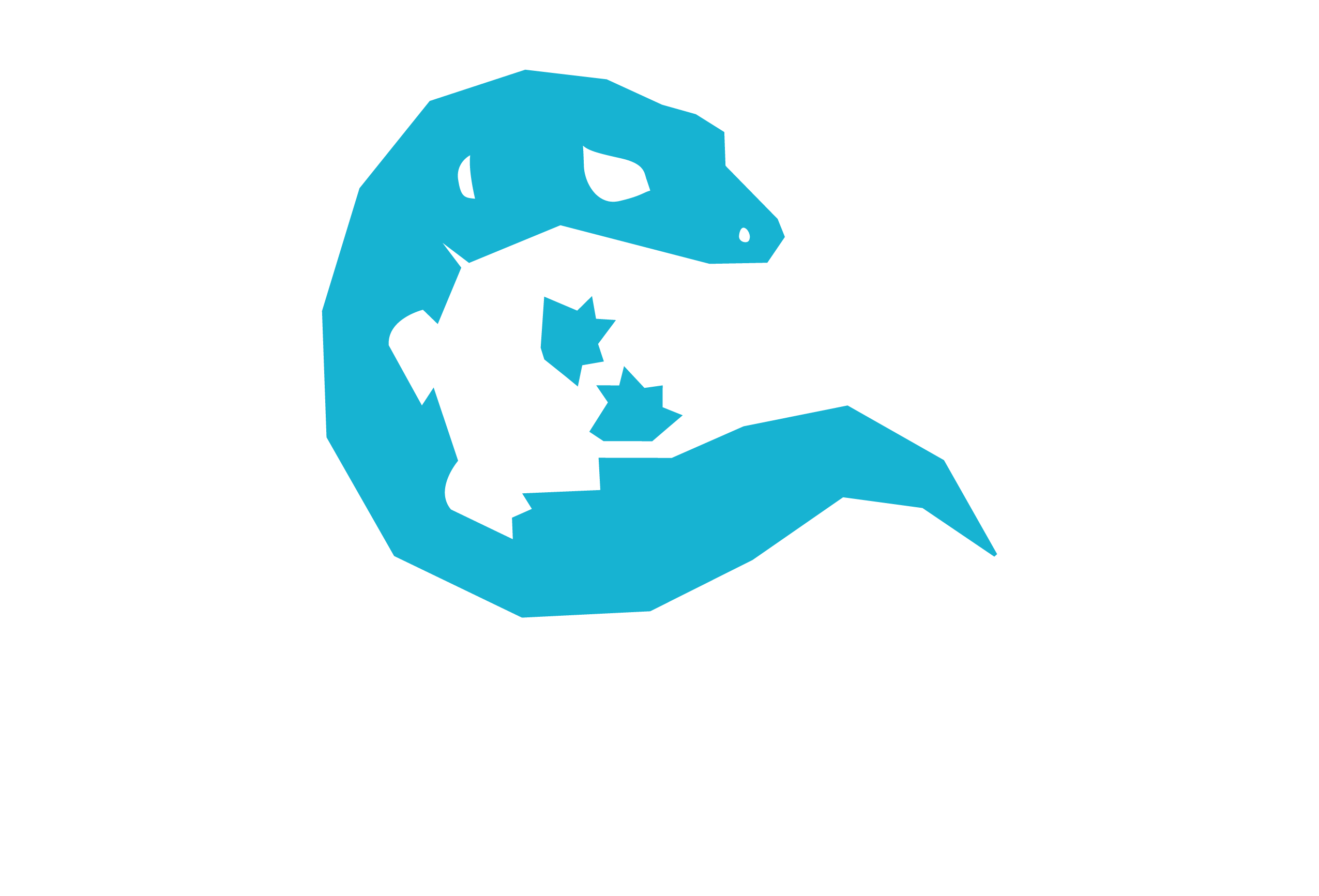 gecko clipart turquoise