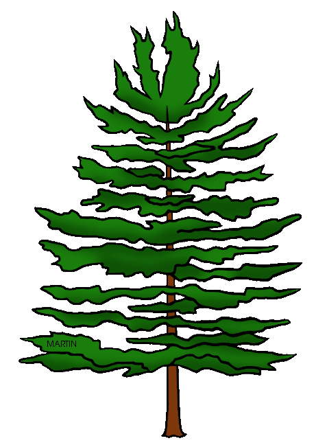 Trees clip art by. Geology clipart biology