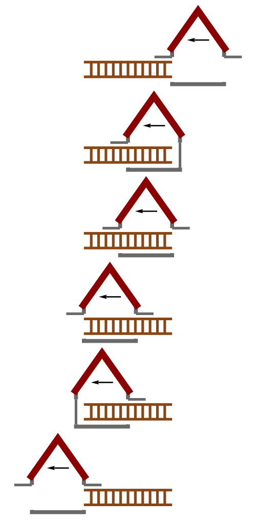 geometry clipart paradox