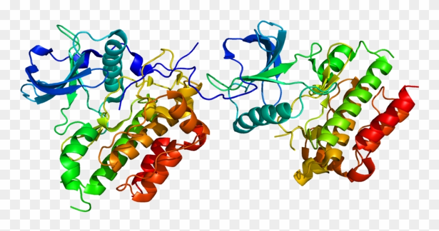 Germs kit protein png. Germ clipart bile