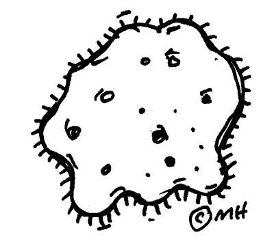germ clipart black and white