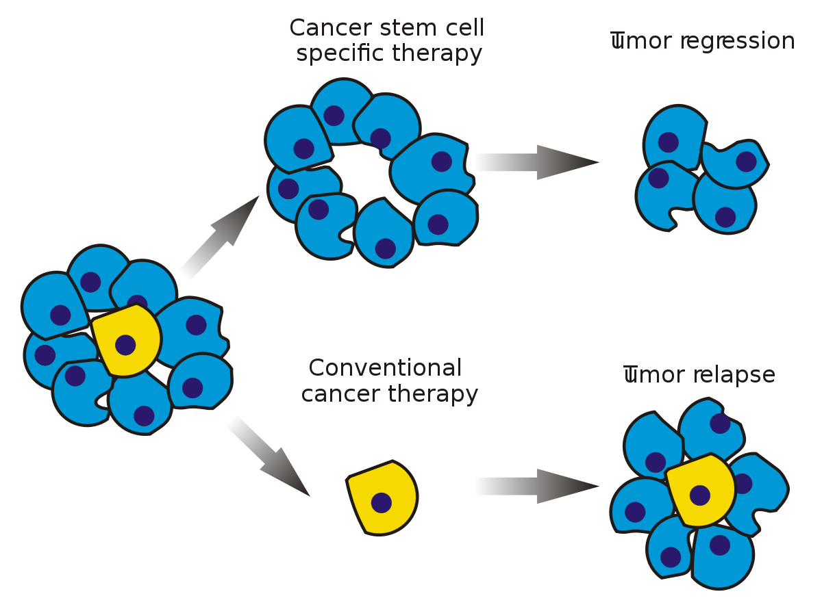 germ clipart cancer cell