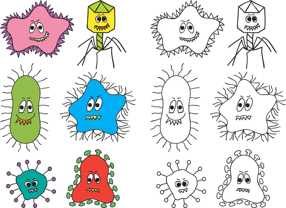 germs clipart drawing