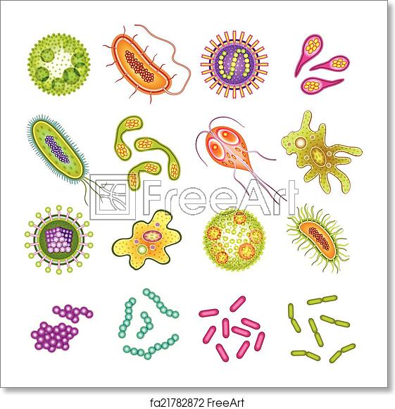 Free art print of. Germ clipart microorganism