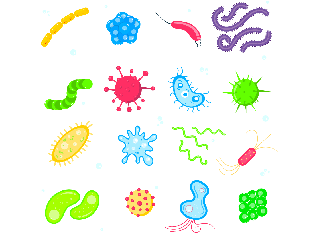 Germ clipart microorganism. Bacterial germs and viruses