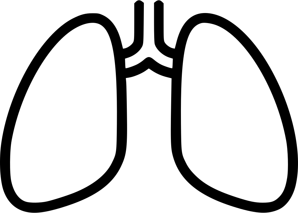 Lungs breathing chest x. Xray clipart black and white