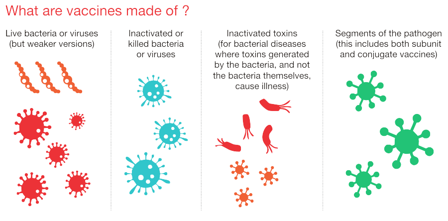 germs clipart vaccine
