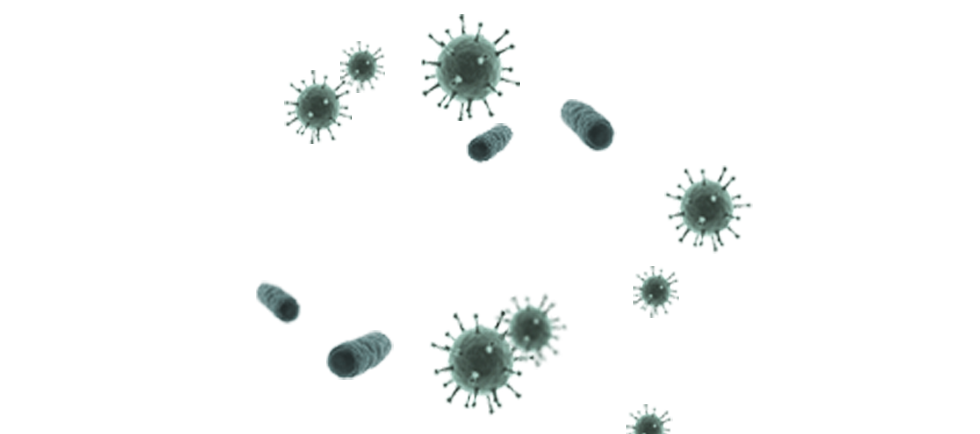 Germs clipart transparent background. Real pictures of group