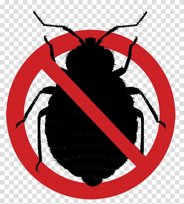 germs clipart bug
