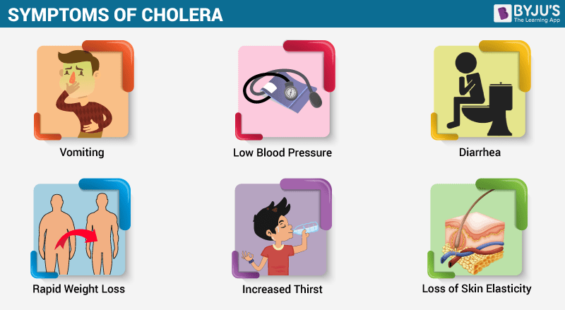 germs clipart cholera
