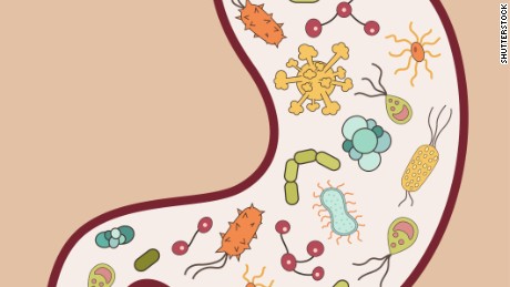 germs clipart gut bacteria