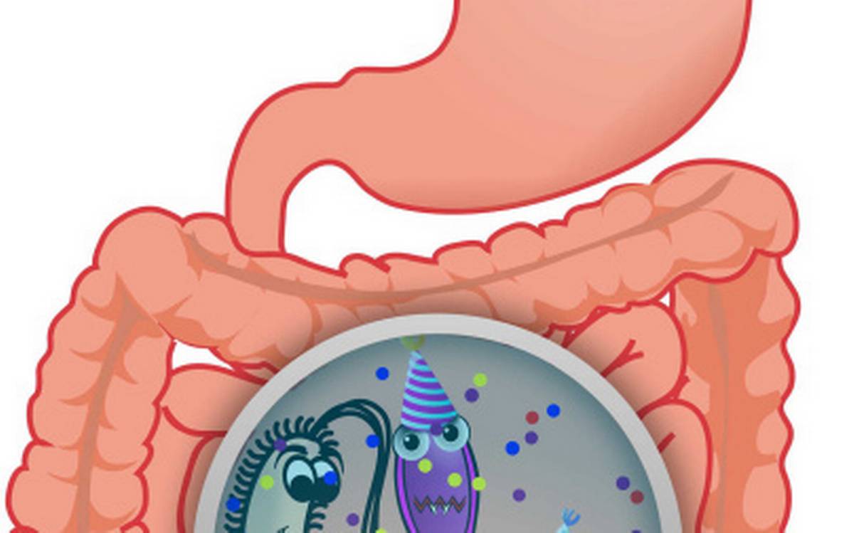 germs clipart harmful bacteria