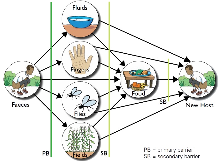 Wash instructions . Germs clipart sanitation