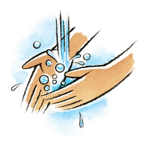 germs clipart scrub hand
