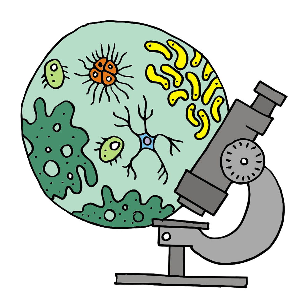 microscope clipart medical