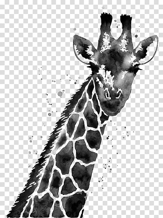 giraffe clipart abstract