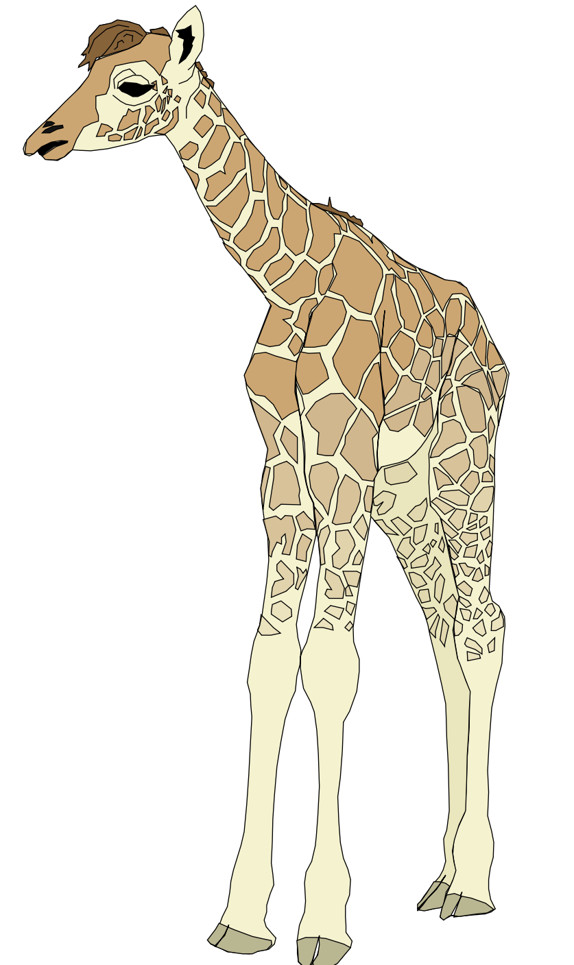 Giraffe clipart adaptation. Ginger coons learns to