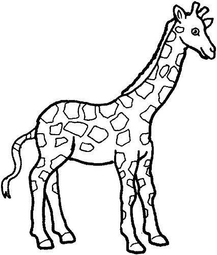 giraffe clipart coloring