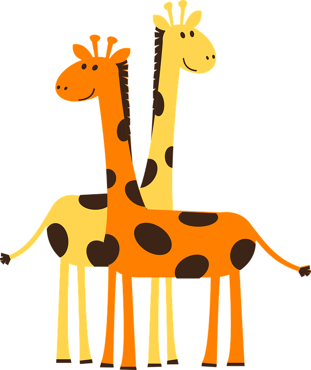 giraffe clipart drinking water cartoon