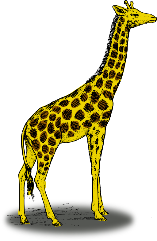 giraffe clipart jpeg