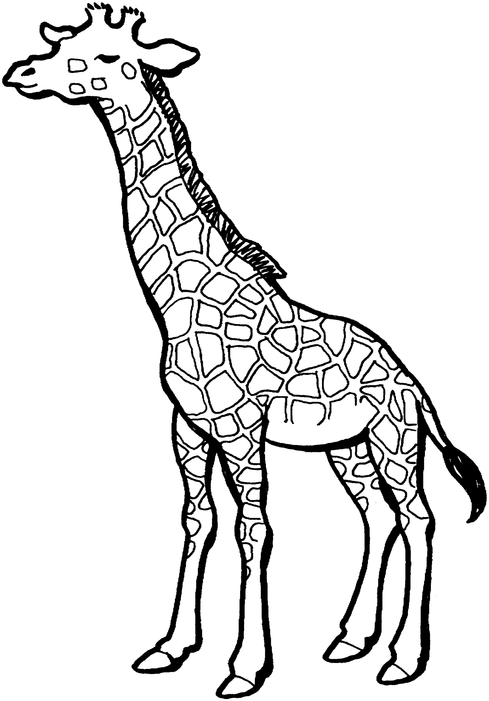 giraffe clipart line art