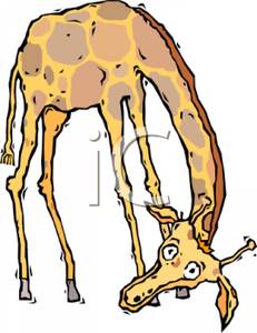 giraffe clipart old