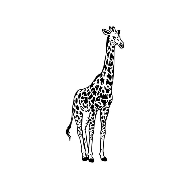 giraffe clipart pdf