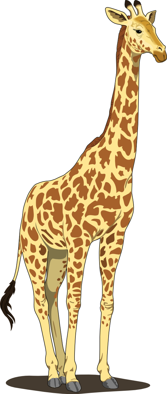 giraffe clipart valentine