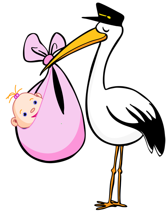 stork clipart maternity