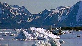 glacier clipart tundra ecosystem