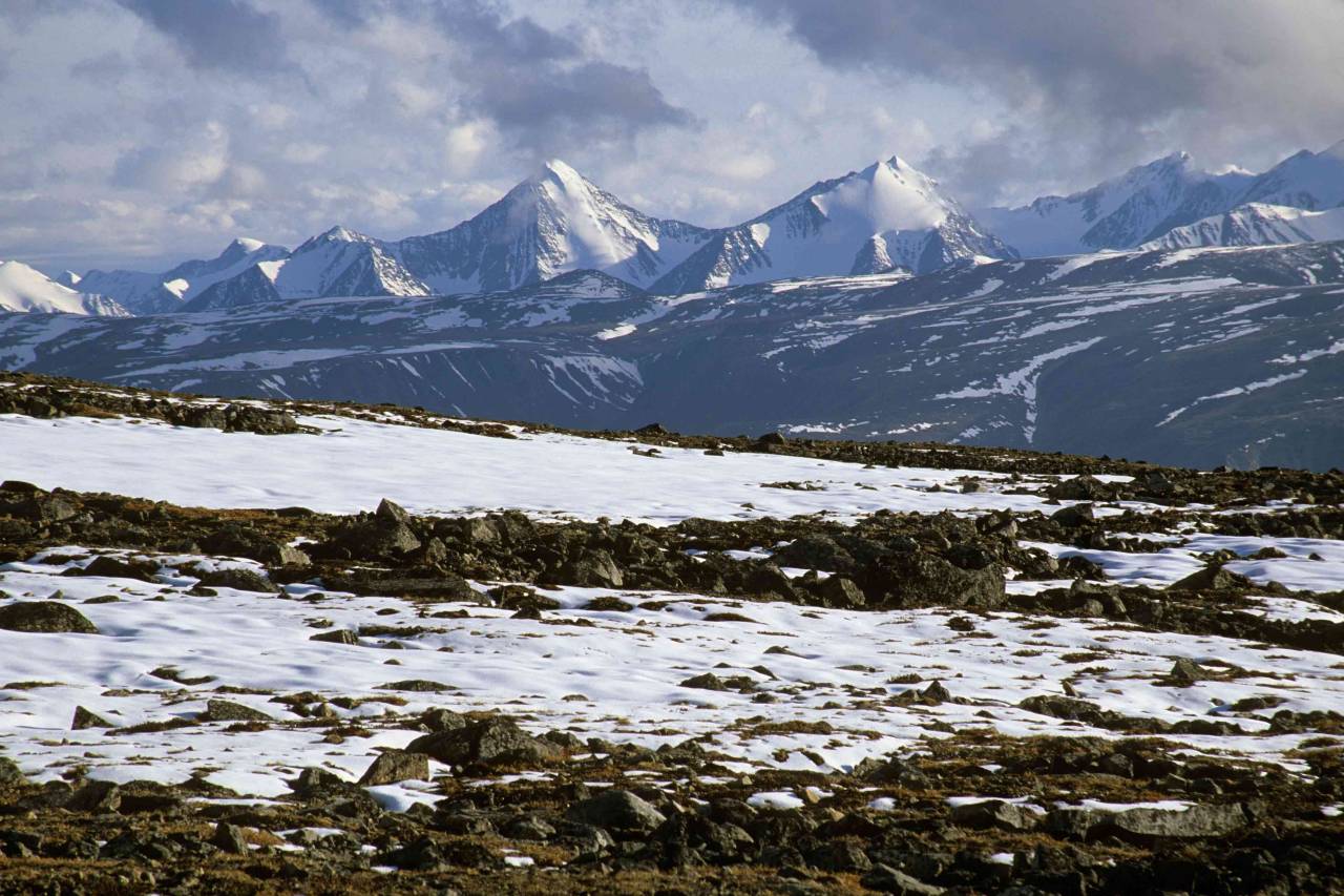 glacier clipart tundra ecosystem