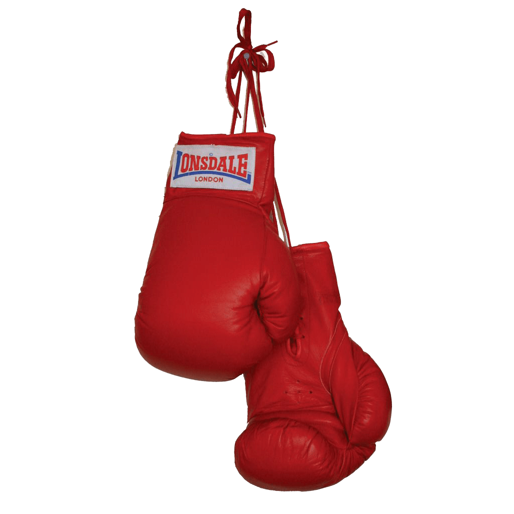 Glove clipart boxing. Gloves duo transparent png