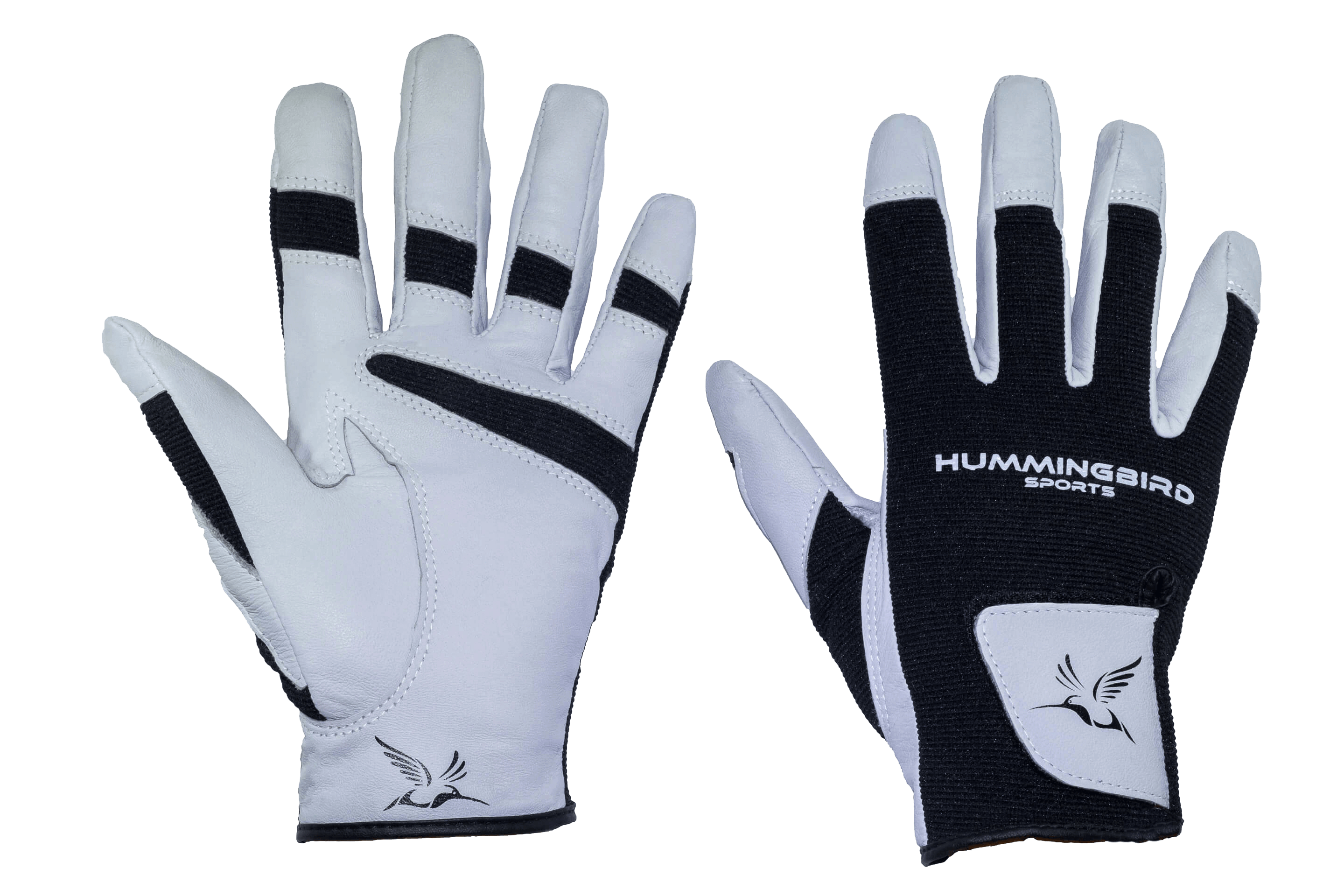 Gloves hummingbird sports . Glove clipart warm glove