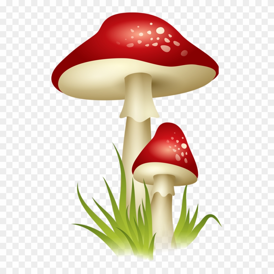 mushrooms clipart gnome