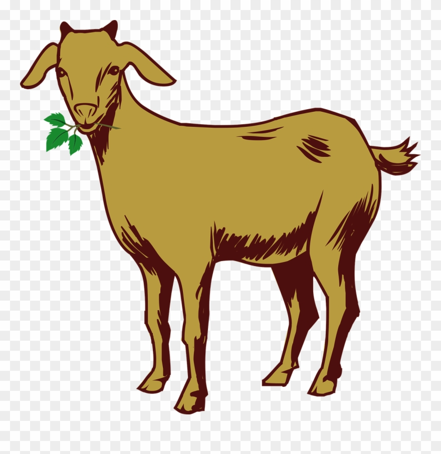 Free buy clip art. Clipart goat kiko goat