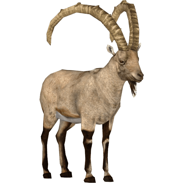 goat clipart alpine goat