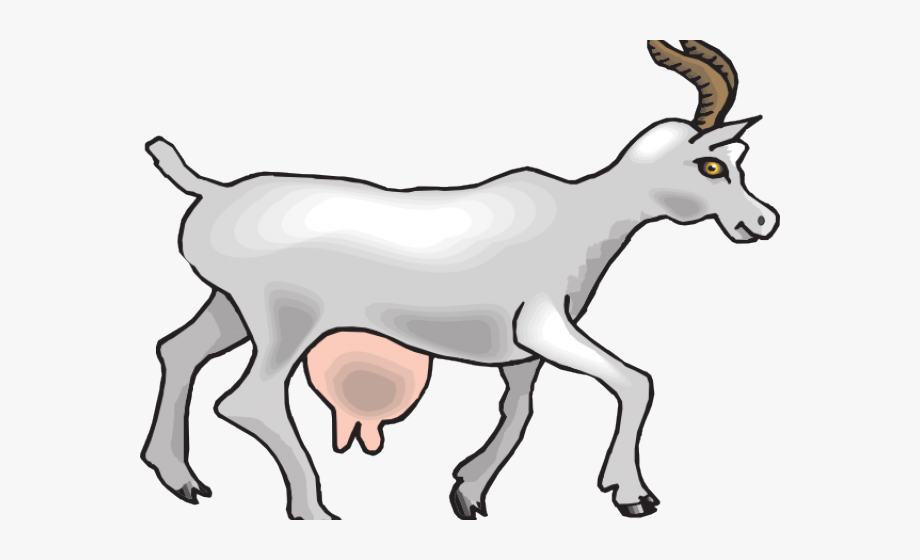 goat clipart boer goat