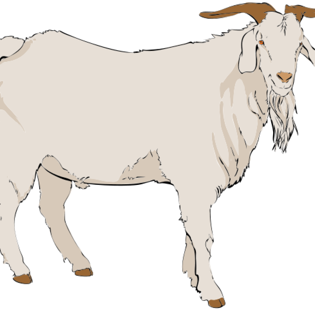 goat clipart border