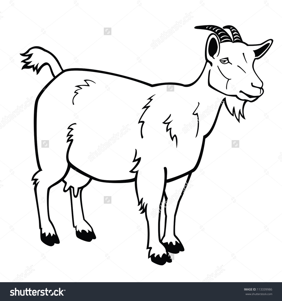 goat clipart chivo