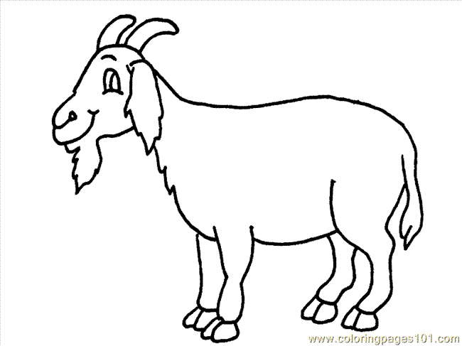 Bleating goats pages and. Goat clipart coloring page