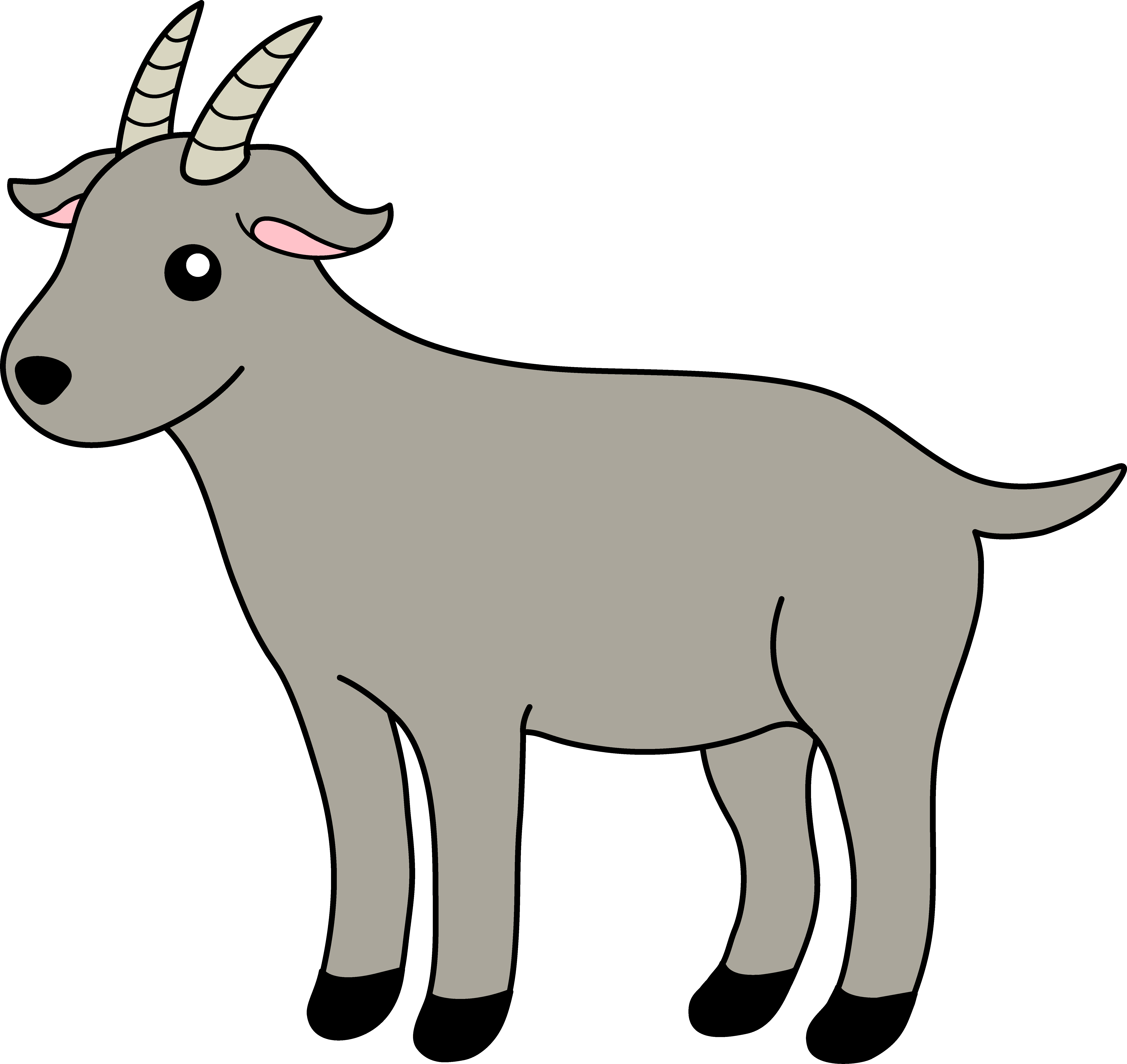 Anglo nubian boer free. Goat clipart domestic animal