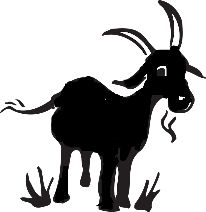 Collection of free buy. Goat clipart female goat