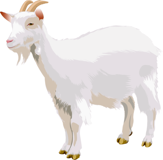goat clipart file