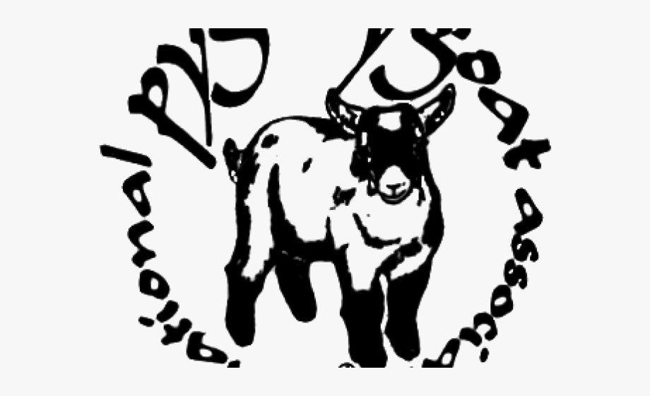 Goat clipart line art. National pygmy association 