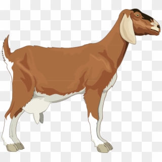 Free png images transparent. Goat clipart male goat