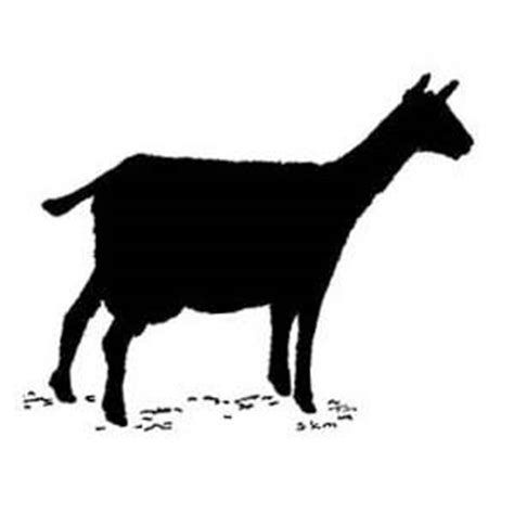 goat clipart milking goat